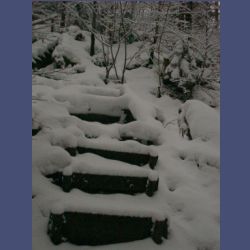 2013-02-02_Rappinschlucht_Lainlalm (015).jpg